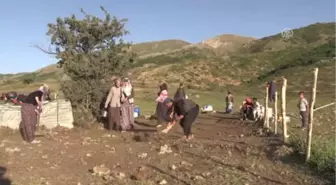 Yayla Yolunda Geçen Yarım Asır - Bitlis