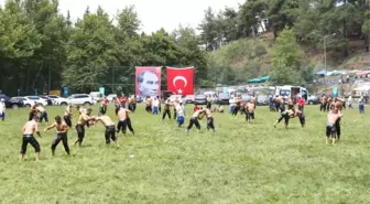 600 Pehlivan Er Meydanına Çıktı