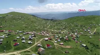 Trabzon Yayla Sakinleri, İmar Barışı İçin Sıraya Girdi Hd