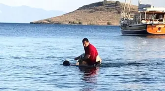 Bodrum Belediye Başkanı Mehmet Kocadon Boğulan Tatilcinin Hayatını Kurtardı