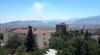 Kahramanmaraş'ta Orman Yangını