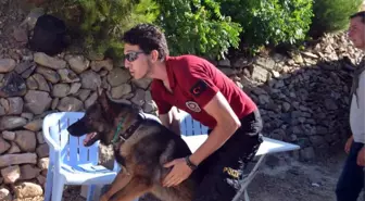 Hatay'da Kaybolan Küçük Ufuk Özel Köpeklerle Aranıyor