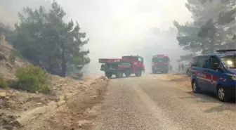 Antalya'da Orman Yangını