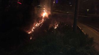 Kuşadası'nda Tutuşan Otlar Paniğe Neden Oldu