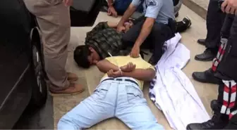 Polis, Saksıdaki Bitkiyi Uyuşturucu Sandığı İçin Kovaladı, Sürücü Ehliyeti Yok Diye Kaçtı