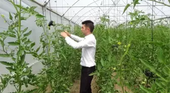 Genç Çiftçi Desteği Hayatını Değiştirdi