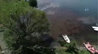 Gököz Göleti Büyülüyor