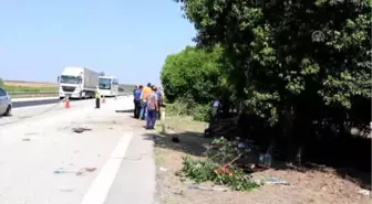 Trafik Kazası: 2 Ölü, 5 Yaralı