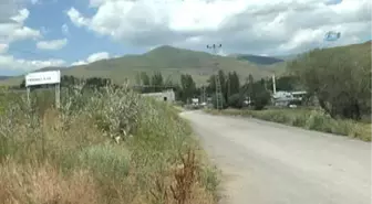 Erzurum'da Aynı Köy de İkinci Ayı Saldırısı