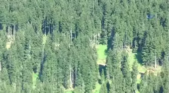 Giresun'da Çatışmanın Yaşandığı Bölge Çember Altına Alındı