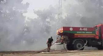 Hatay'da Orman Yangını