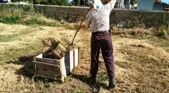 Yem Bitkilerini Sandığa Basarak Balya Yapıyor