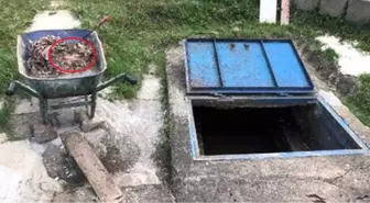 Zonguldak'ta Kanalizasyon İçerisinde Yeni Doğmuş Bebek Cesedi Bulundu