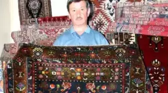 Kök Boyalı Kayseri Halısı, Astım Hastalarının Tercihi