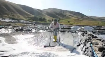 Muş'ta Üretilen Tuz Ekonomiye Katkı Sağlıyor