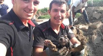 İtfaiye Yavru Köpek İçin Seferber Oldu