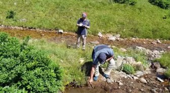 Yaylanın Jeotermal Potansiyeli Ortaya Çıkacak