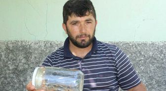 Et Yiyen Örümceği Işıkla Avlıyorlar