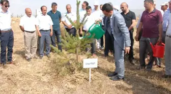 Bulanık'ta 15 Temmuz Etkinlikleri Başladı