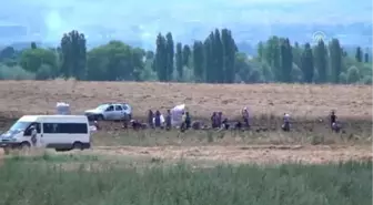 Çorum'da Patates Hasadına Başlandı