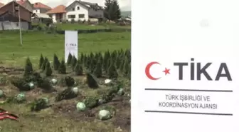 Sırbistan'da 15 Temmuz Şehitleri İçin 251 Findan Dikildi