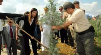 Yalova'da '15 Temmuz Şehitleri Hatıra Ormanı' Oluşturuldu