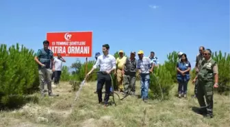 Selendi'de '15 Temmuz Şehitleri Hatıra Ormanı' Oluşturuldu