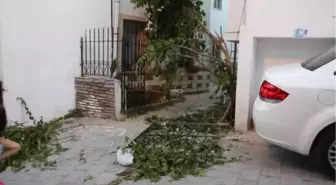 Yüksekten Düşerek Kalbine Demir Saplanan Trafik Polisi Hayatını Kaybetti