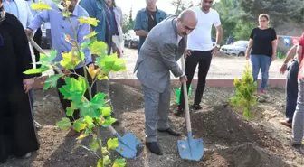 15 Temmuz Demokrasi Şehitleri Hatıra Ormanı'na Fidan Dikildi