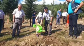 15 Temmuz Şehitleri ve Gazileri Anısına Fidan