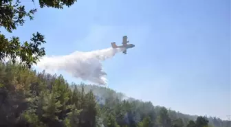 Manavgat'taki Orman Yangınları Kontrol Altına Alındı