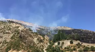 Adıyaman Malatya Arasında Orman Yangını