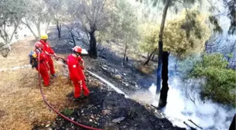 Bodrum'daki Yangında Sigara İzmariti Şüphesi