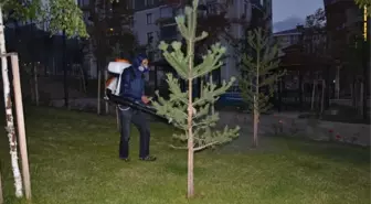 Palandöken Belediyesi Park İlaçlama Çalışmalarına Başladı