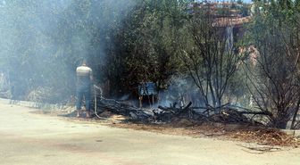 Hatay'da Anız Yangını Zeytinlik Alana Sıçradı