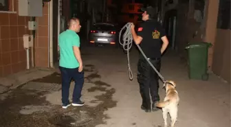 İz Takip Köpeği Sokak Sokak Yaşlı Adamı Aradı