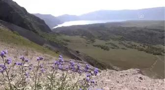 Nemrut Krater Gölü'ne Ziyaretçi Akını