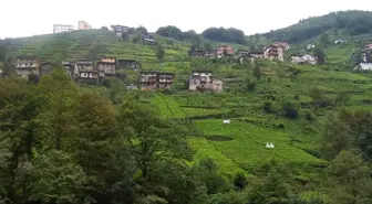 Karadeniz'in İncisi: Trabzon