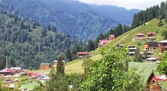 Yeşilin En Eşsiz Hali: Karadeniz Yaylaları