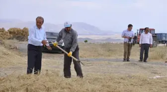 Arguvan'da Nohut Hasadı Başladı