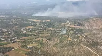 Muğla'da Orman Yangını