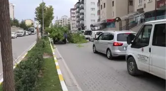 Çankırı'da Şiddetli Rüzgar