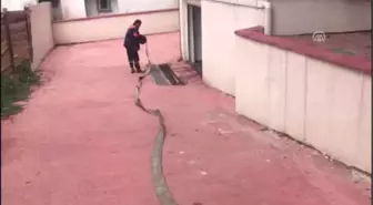 Kartal'da Bodrum Katlarındaki Suyu Tahliye Çalışmaları