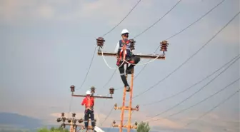 Kuş Ölümleri 'Kuşkonmaz' ile Engelleniyor