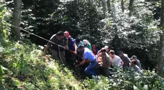 Rize'de Dereye Düşen Kişi Ağır Yaralandı