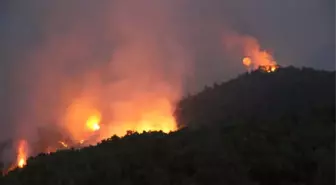 Hatay'da Orman Yangınında Yoğun Mücadele