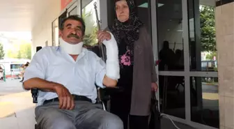 Hayvan Pisliği Tartışmasında 79 Yaşındaki Kıbrıs Gazisi Darp Edildi