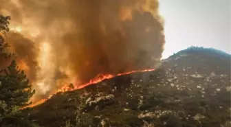 Kaliforniya'da Ohal İlan Edildi