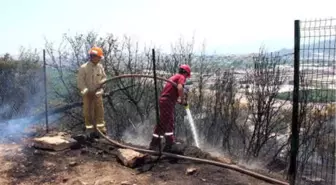 Kumluca'da Orman Yangını Büyümeden Söndürüldü