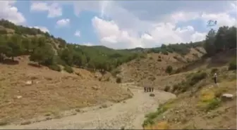 Burdur'da Kayıp Kadın Baygın Halde Bulundu